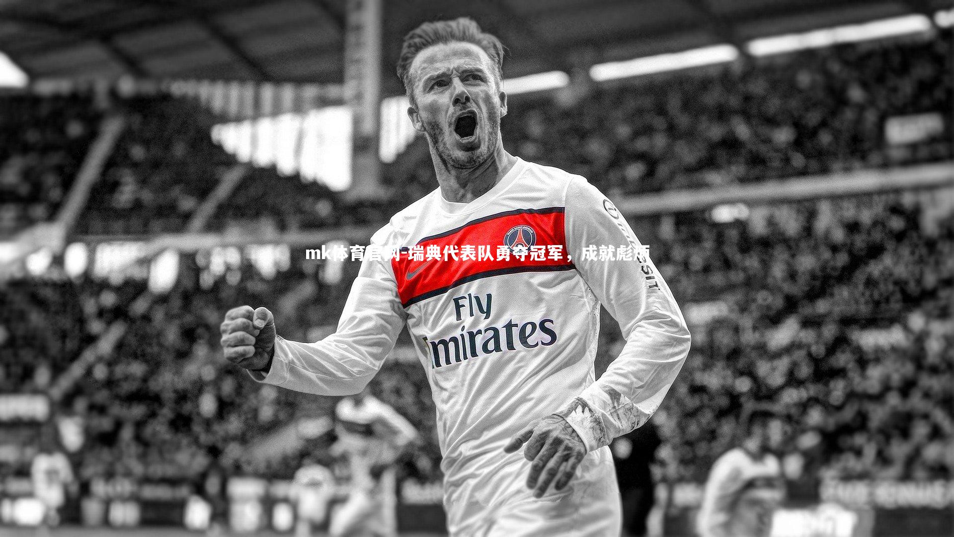 瑞典代表队勇夺冠军，成就彪炳